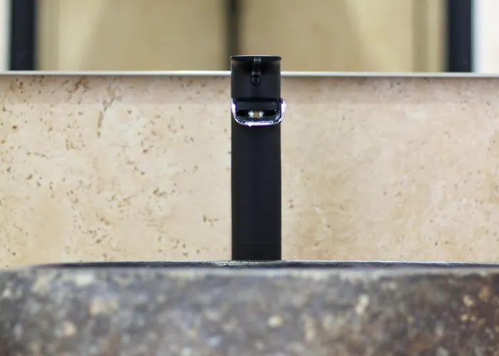 Ferienhaus Domaine D'en Carignan Gimont